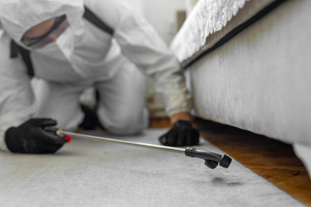 Professional Bed Bug Control technician working in Dexter, NM
